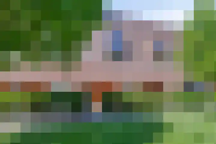Bieremalaan 53 Den Haag thumbnail 32