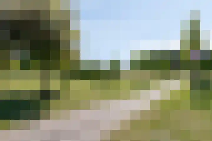 Bieremalaan 53 Den Haag thumbnail 34