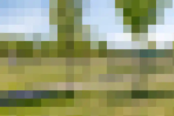 Bieremalaan 53 Den Haag thumbnail 35