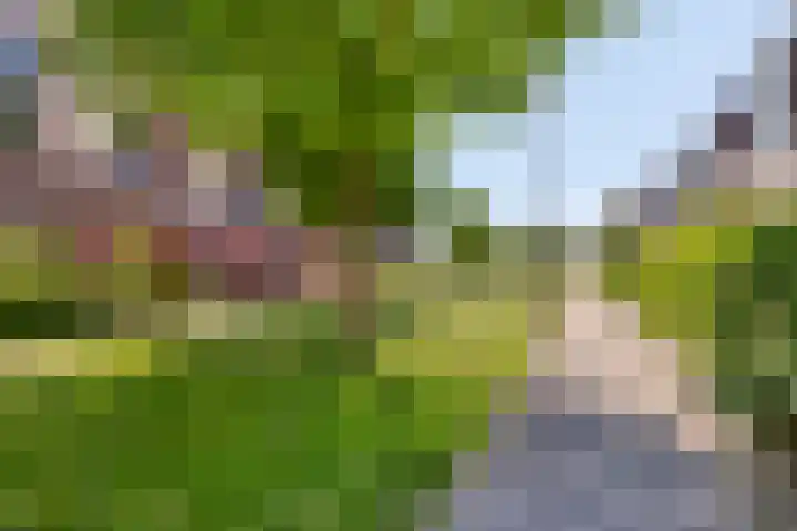 Bieremalaan 53 Den Haag thumbnail 36