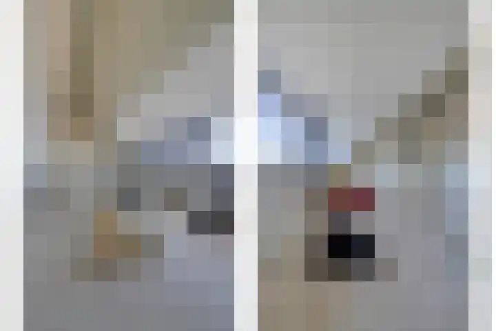 Bieremalaan 53 Den Haag thumbnail 37