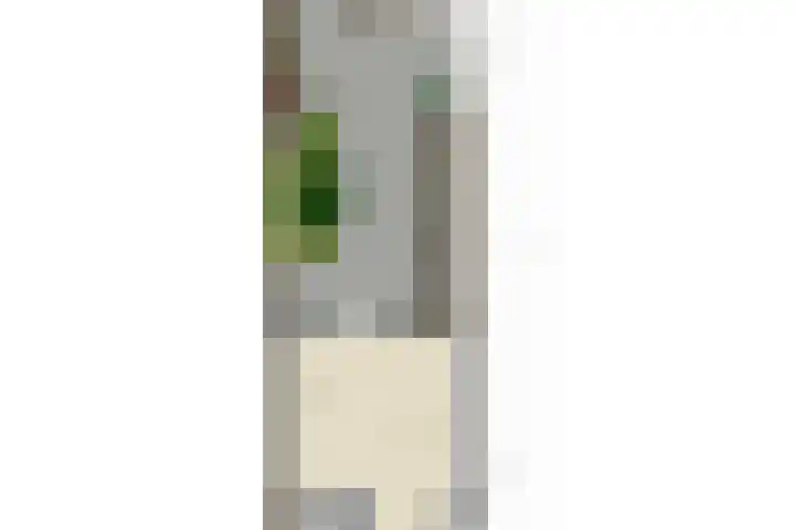 Bieremalaan 53 Den Haag thumbnail 39