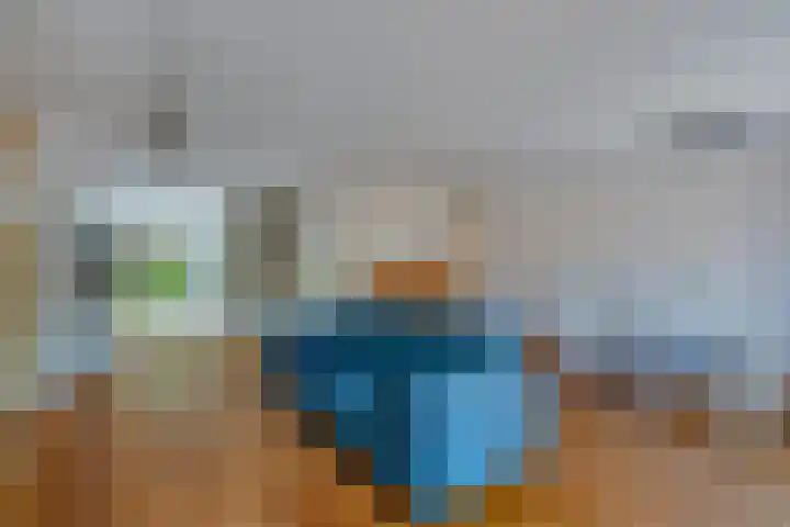 Bieremalaan 53 Den Haag thumbnail 6