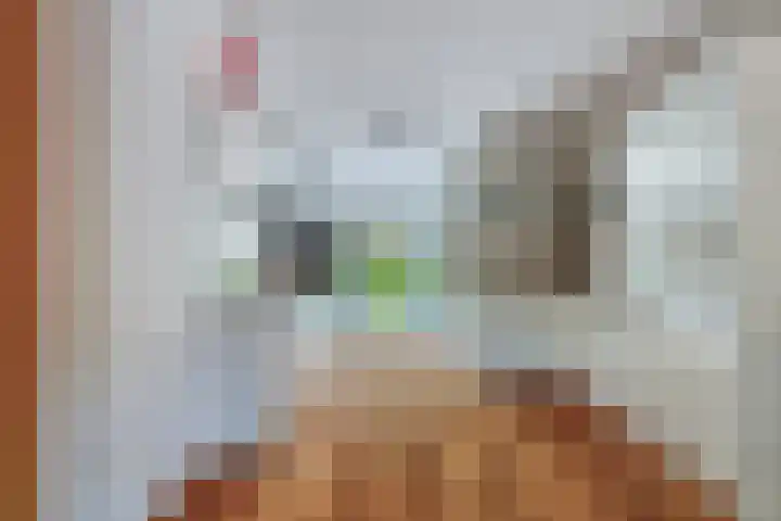 Bieremalaan 53 Den Haag thumbnail 7