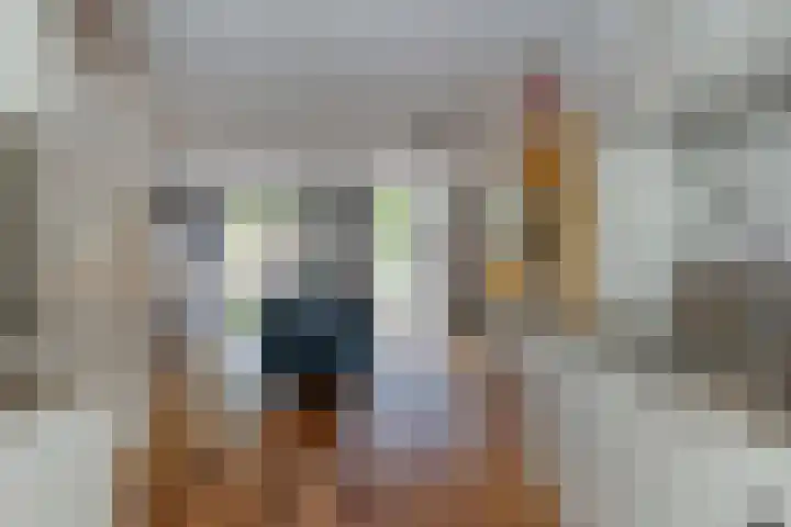 Bieremalaan 53 Den Haag thumbnail 8