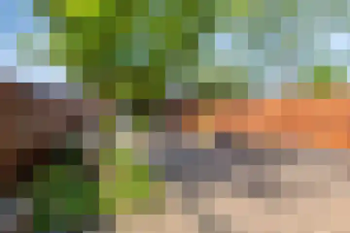 Bieremalaan 53 Den Haag thumbnail 9