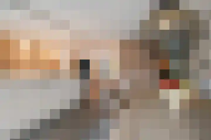 Bieremalaan 57 Den Haag thumbnail 10