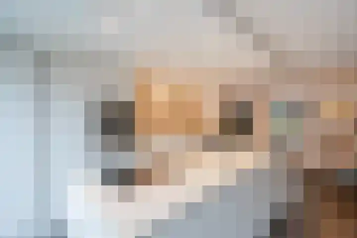 Bieremalaan 57 Den Haag thumbnail 12