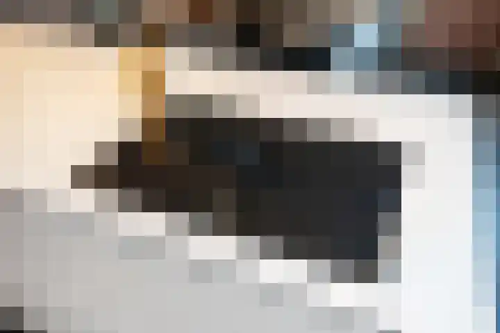 Bieremalaan 57 Den Haag thumbnail 13