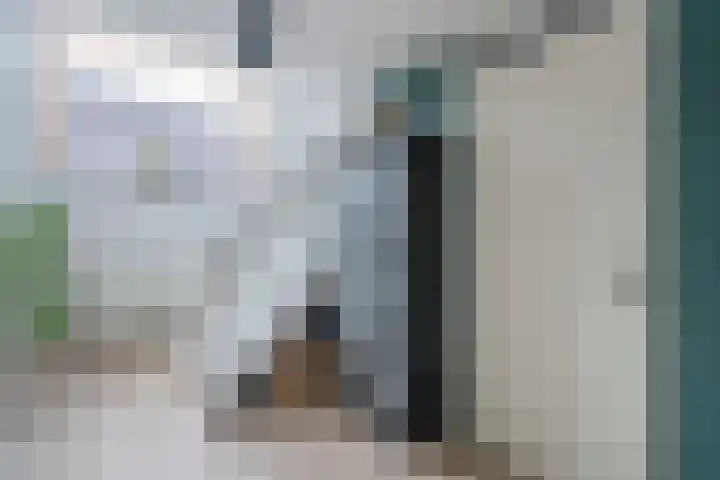 Bieremalaan 57 Den Haag thumbnail 21