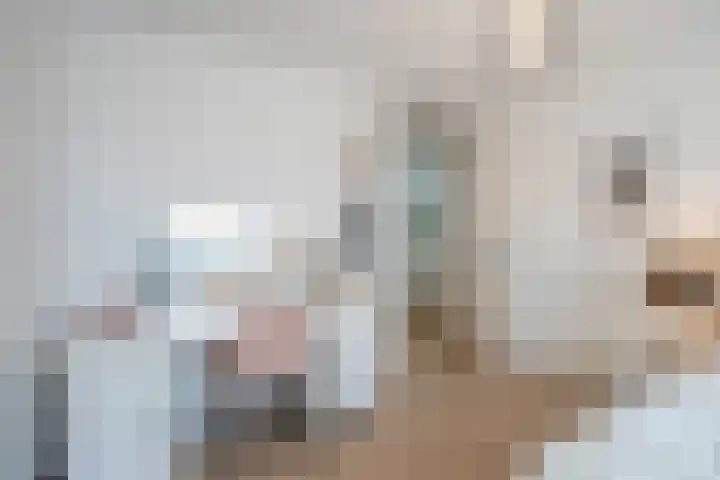Bieremalaan 57 Den Haag thumbnail 22