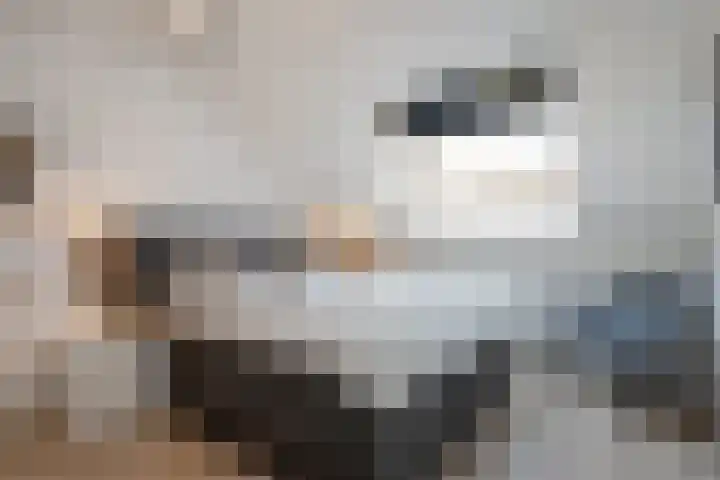 Bieremalaan 57 Den Haag thumbnail 25