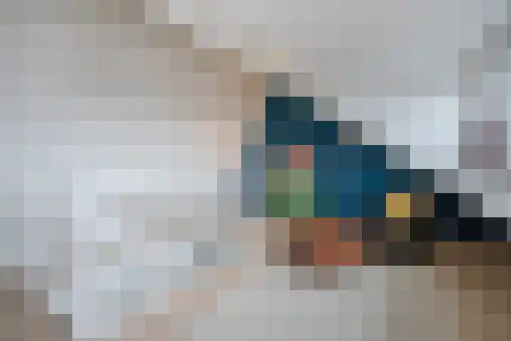 Bieremalaan 57 Den Haag thumbnail 29