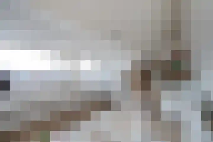 Bieremalaan 57 Den Haag thumbnail 30