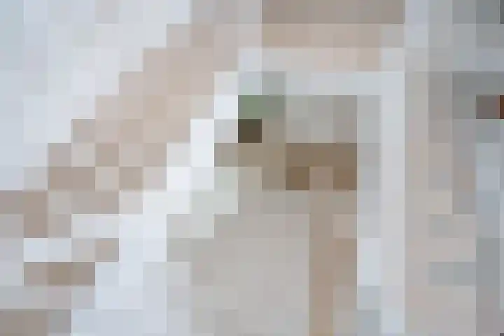 Bieremalaan 57 Den Haag thumbnail 31