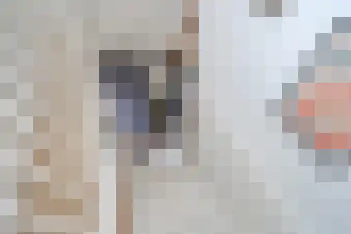 Bieremalaan 57 Den Haag thumbnail 32