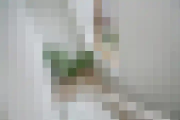 Bieremalaan 57 Den Haag thumbnail 33