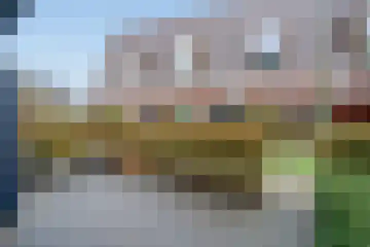 Bieremalaan 57 Den Haag thumbnail 34