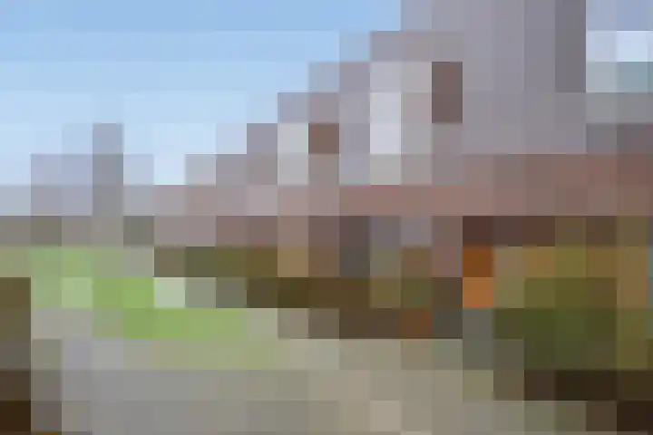 Bieremalaan 57 Den Haag thumbnail 35