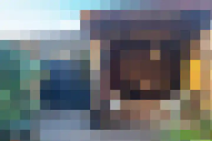 Bieremalaan 57 Den Haag thumbnail 36