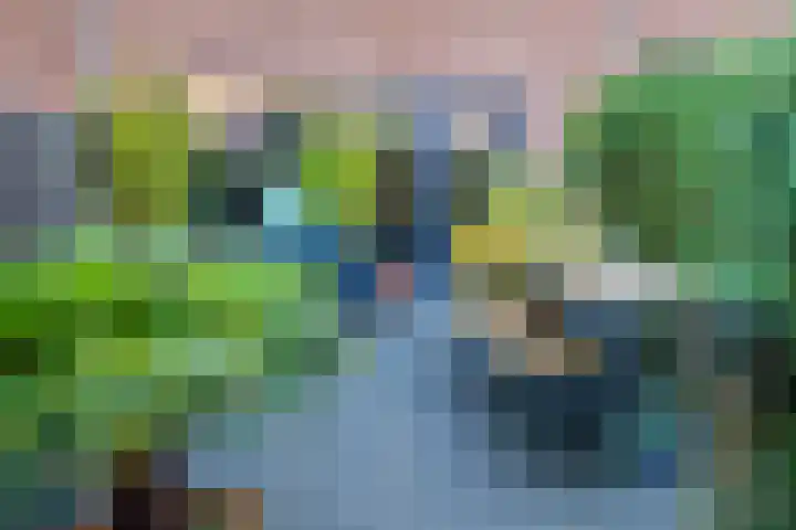 Bieremalaan 57 Den Haag thumbnail 39