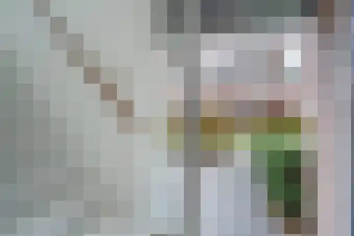 Bieremalaan 57 Den Haag thumbnail 5
