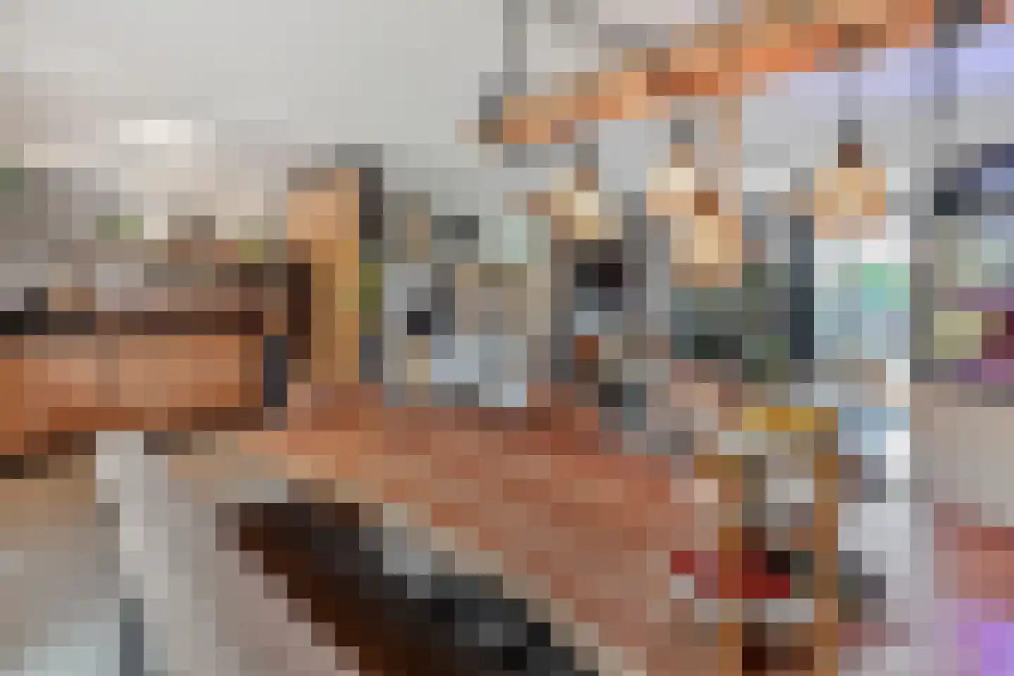 Bieremalaan 9 Den Haag thumbnail 13