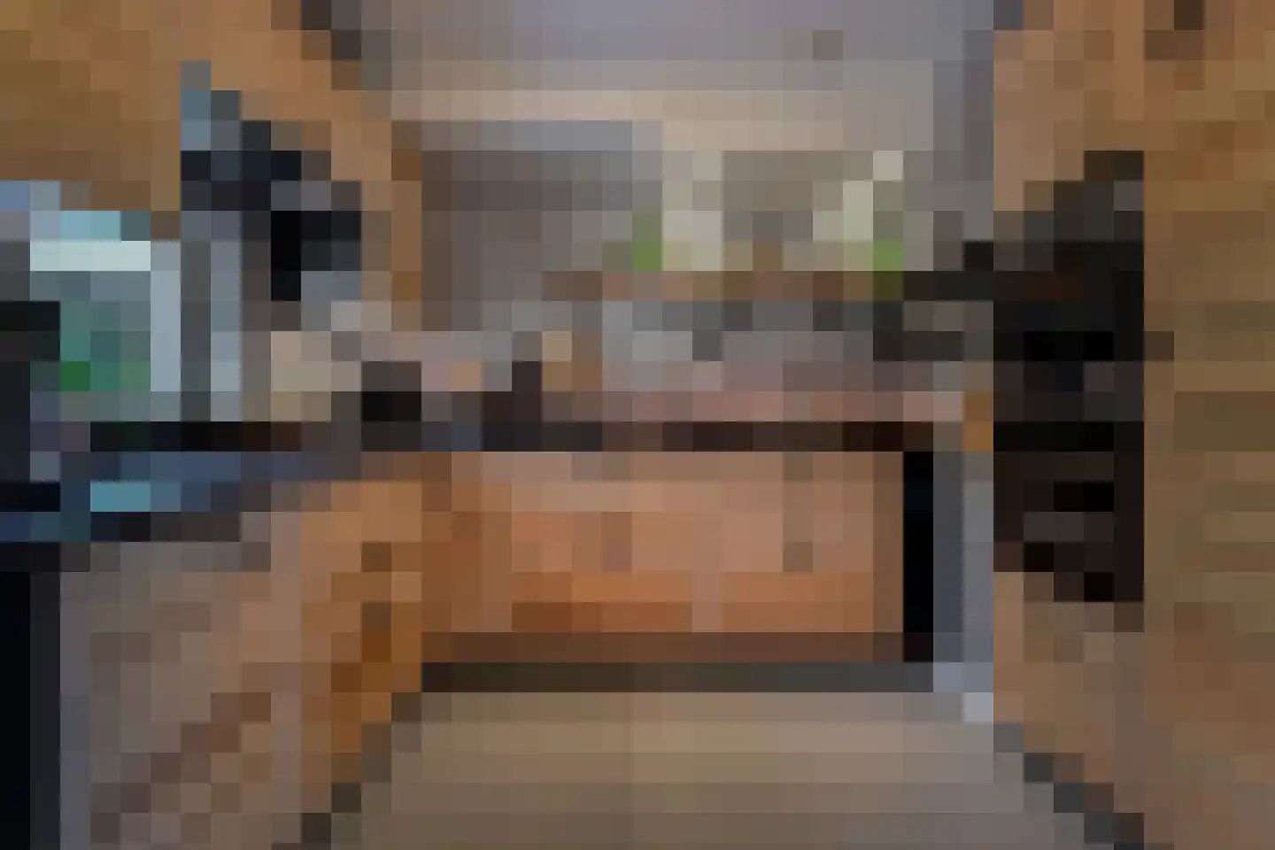 Bieremalaan 9 Den Haag thumbnail 16