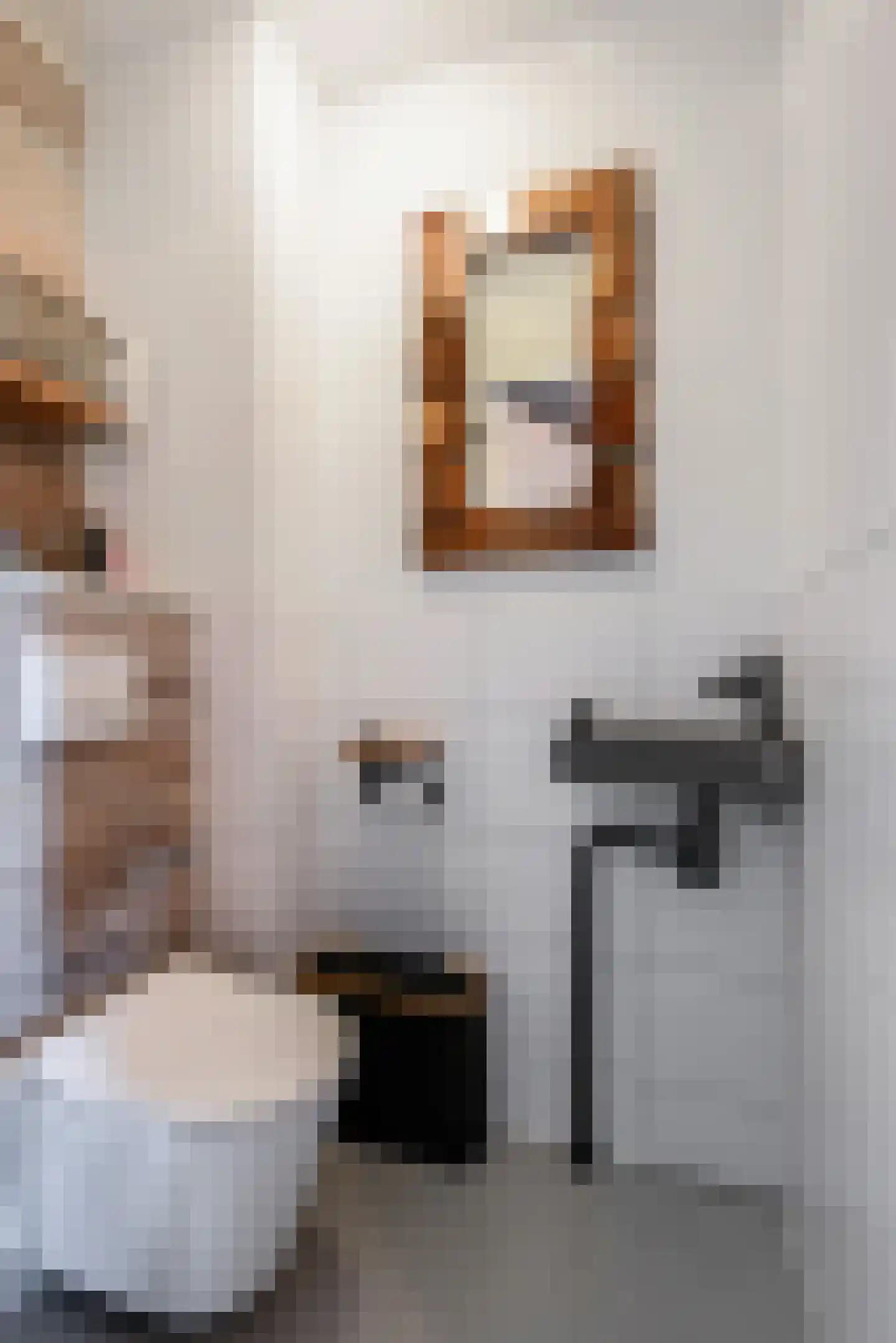 Bieremalaan 9 Den Haag thumbnail 17