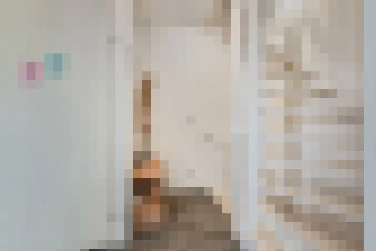 Bieremalaan 9 Den Haag thumbnail 19