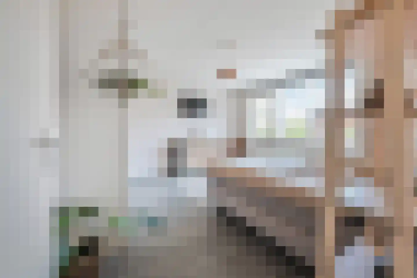 Bieremalaan 9 Den Haag thumbnail 20