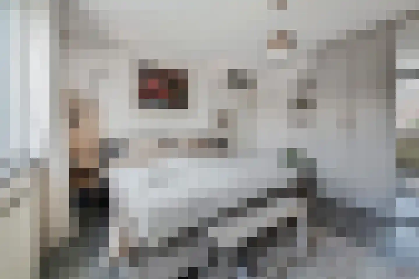 Bieremalaan 9 Den Haag thumbnail 21