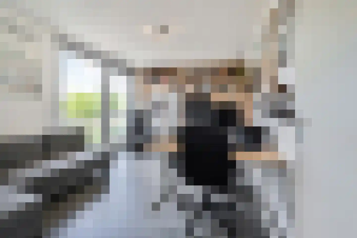 Bieremalaan 9 Den Haag thumbnail 22