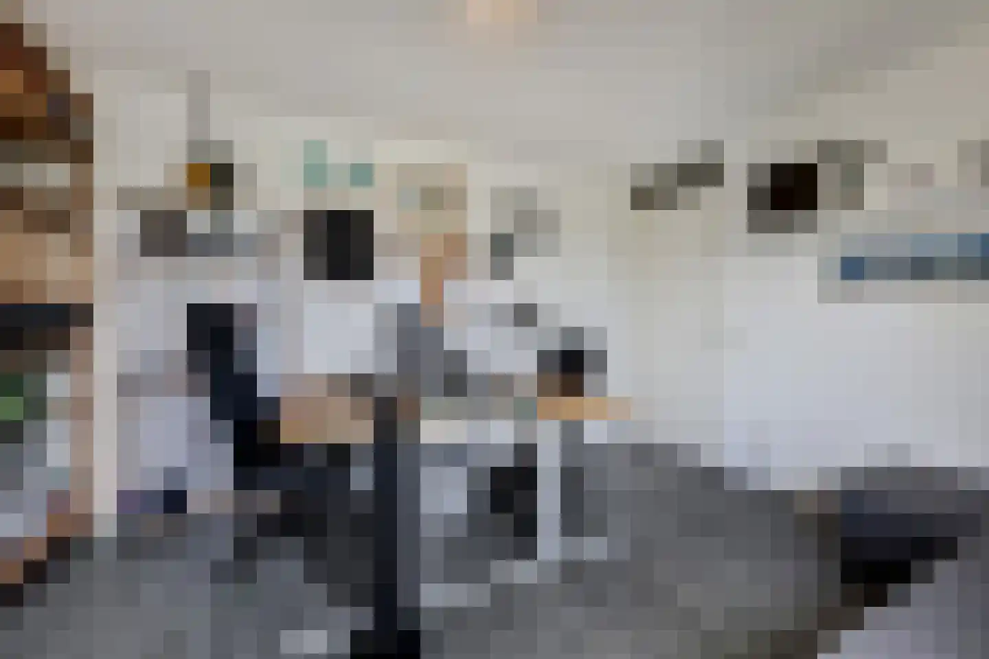 Bieremalaan 9 Den Haag thumbnail 23