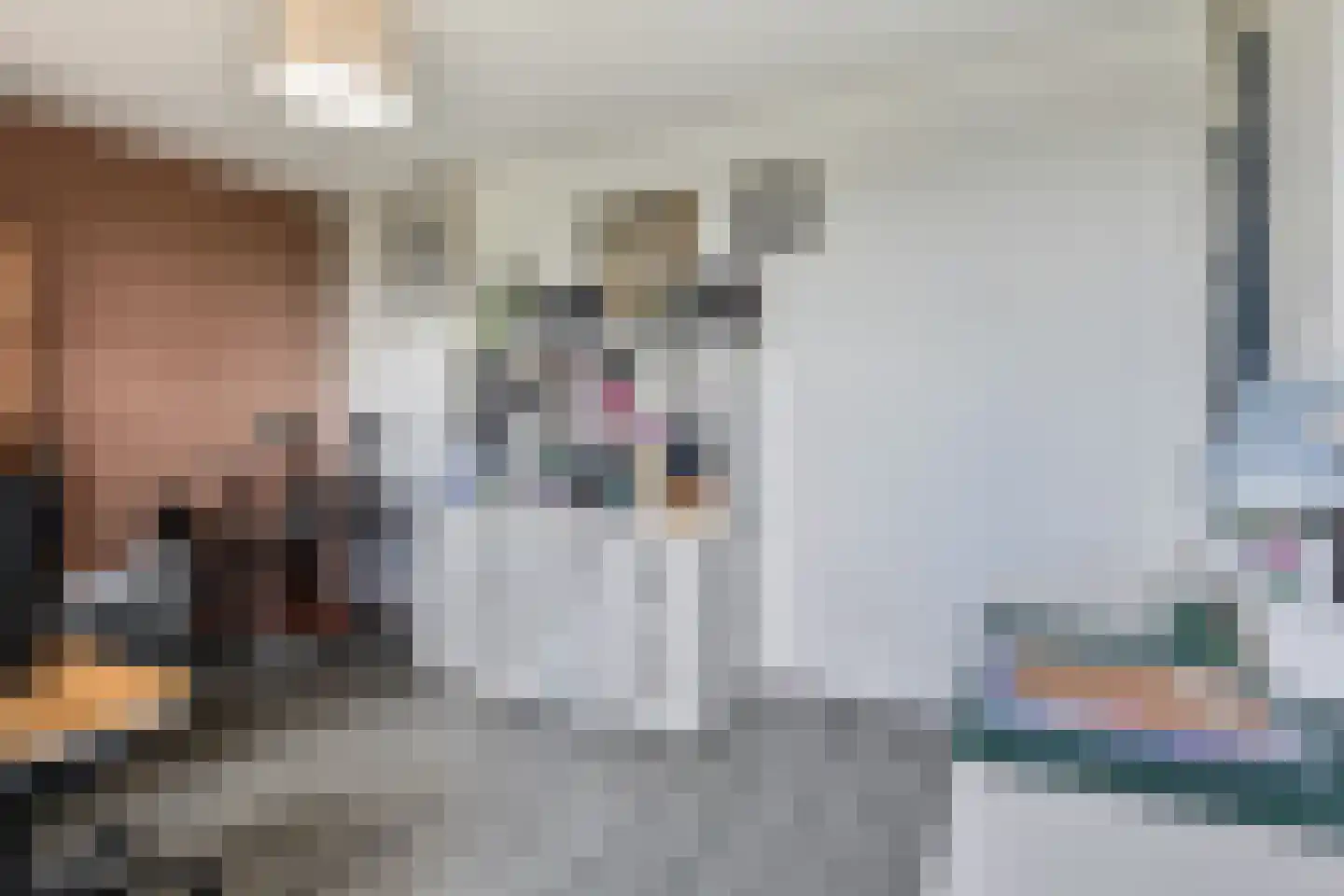 Bieremalaan 9 Den Haag thumbnail 26