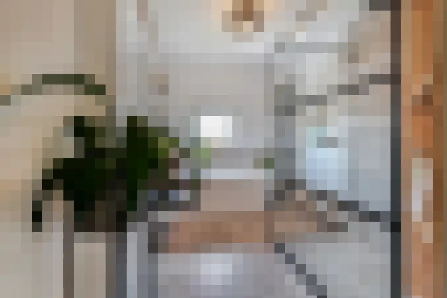 Bieremalaan 9 Den Haag thumbnail 27