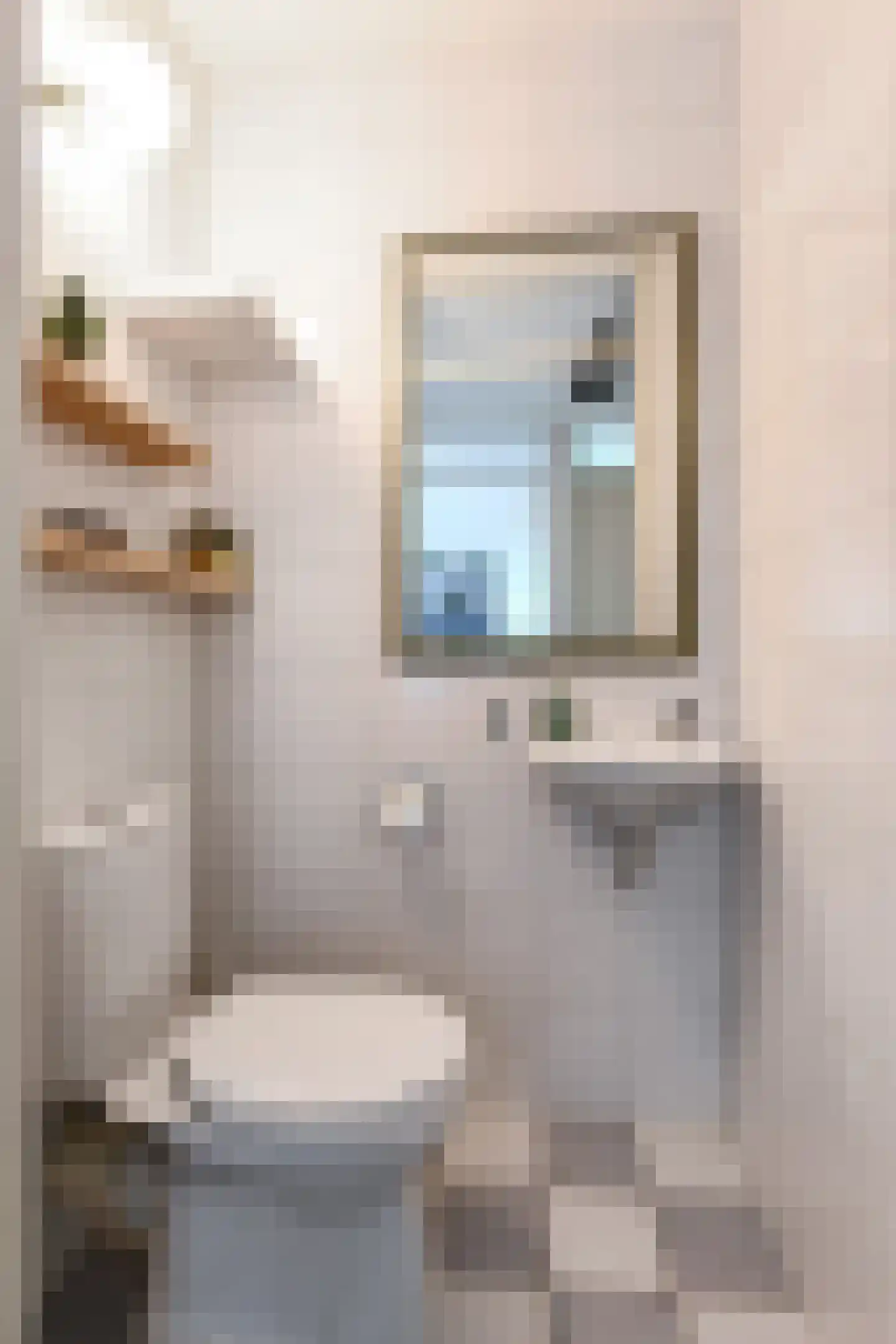 Bieremalaan 9 Den Haag thumbnail 29