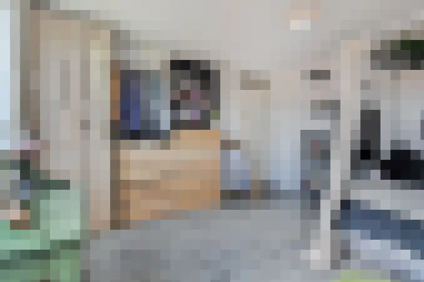 Bieremalaan 9 Den Haag thumbnail 33