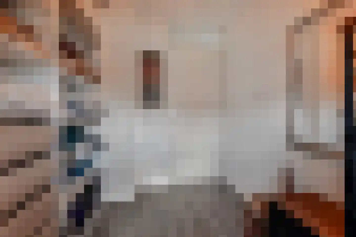 Bieremalaan 9 Den Haag thumbnail 35