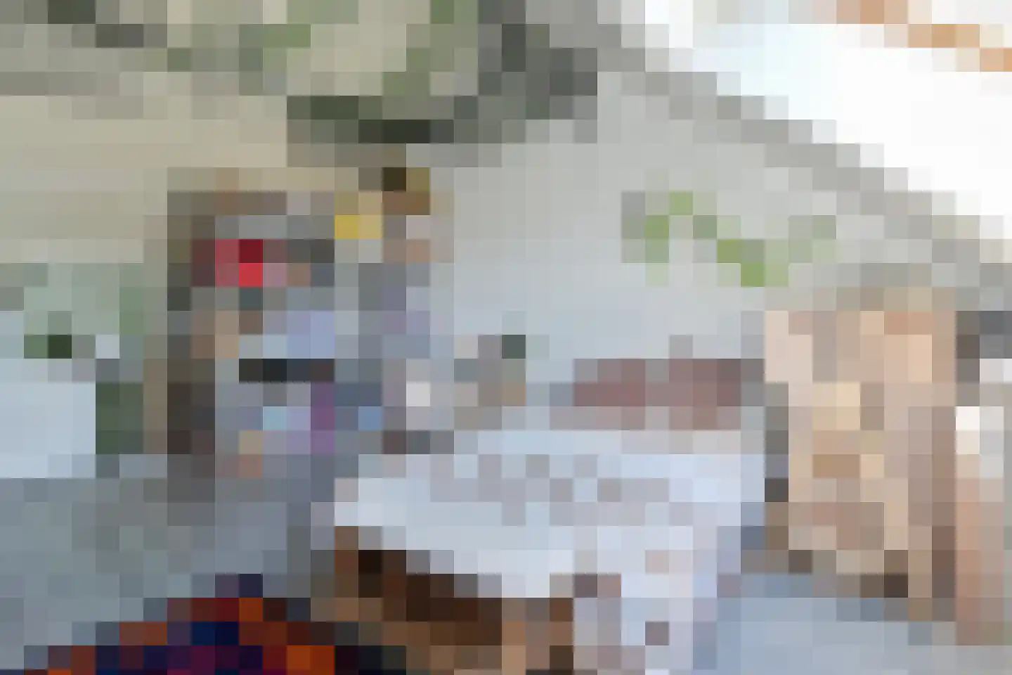 Bieremalaan 9 Den Haag thumbnail 38