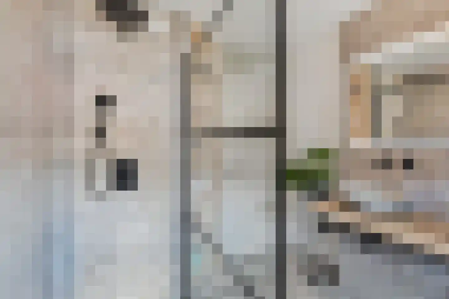 Bieremalaan 9 Den Haag thumbnail 4