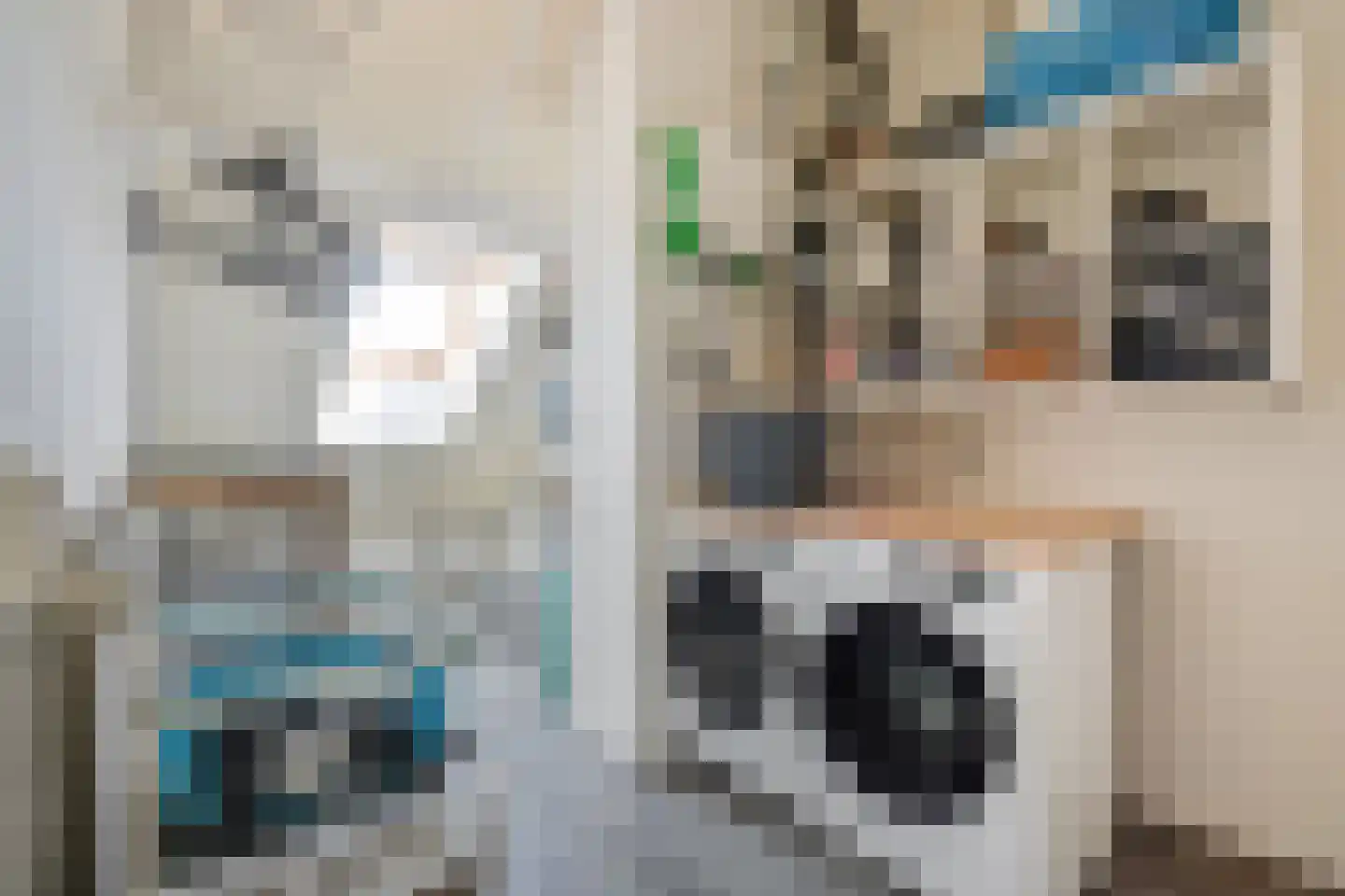 Bieremalaan 9 Den Haag thumbnail 40