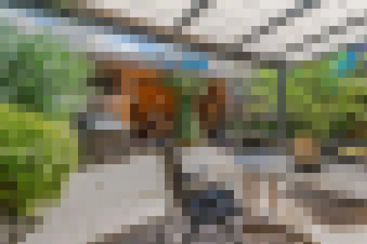 Bieremalaan 9 Den Haag thumbnail 42