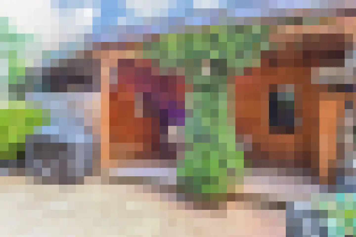 Bieremalaan 9 Den Haag thumbnail 43