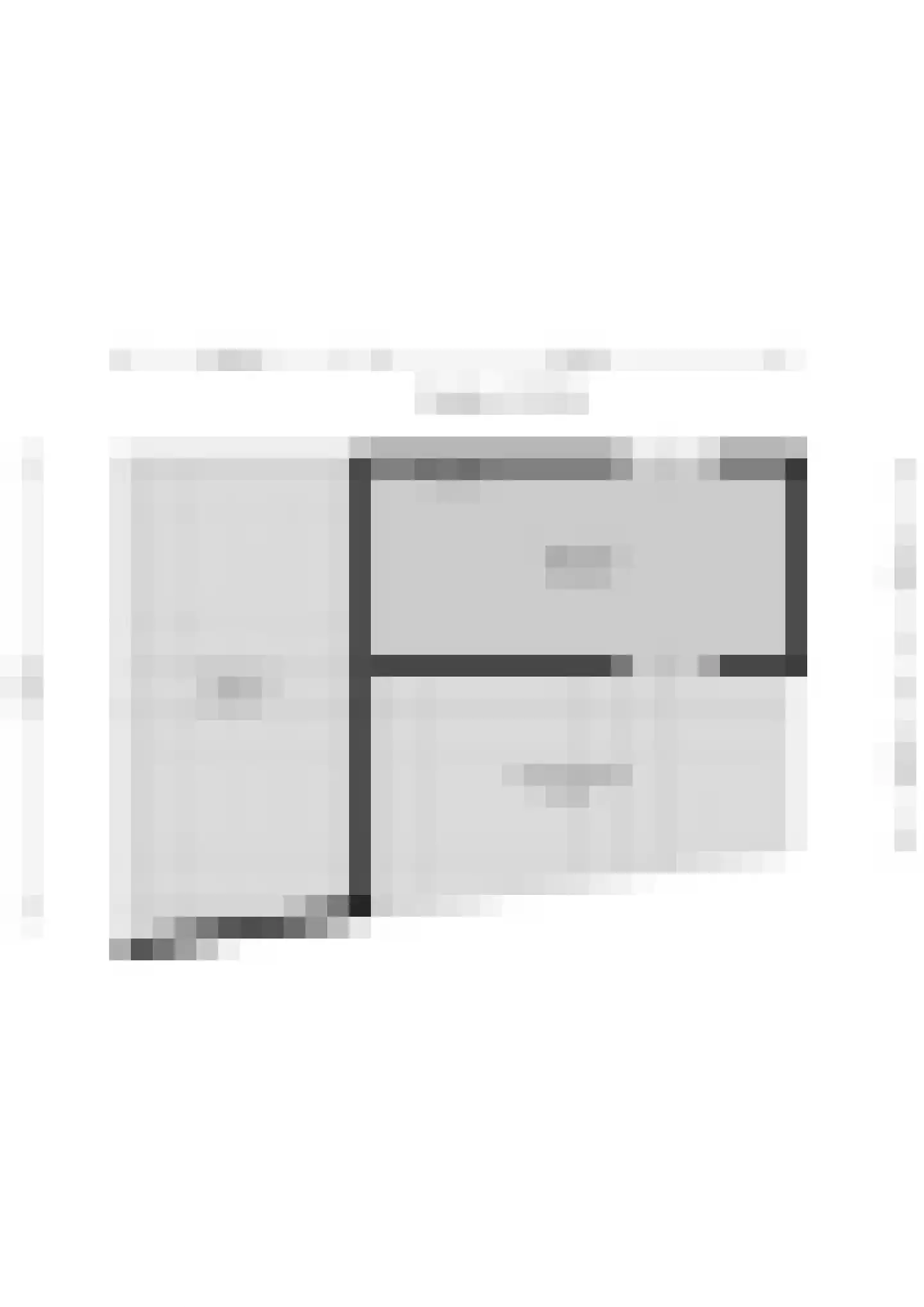 Bieremalaan 9 Den Haag thumbnail 45