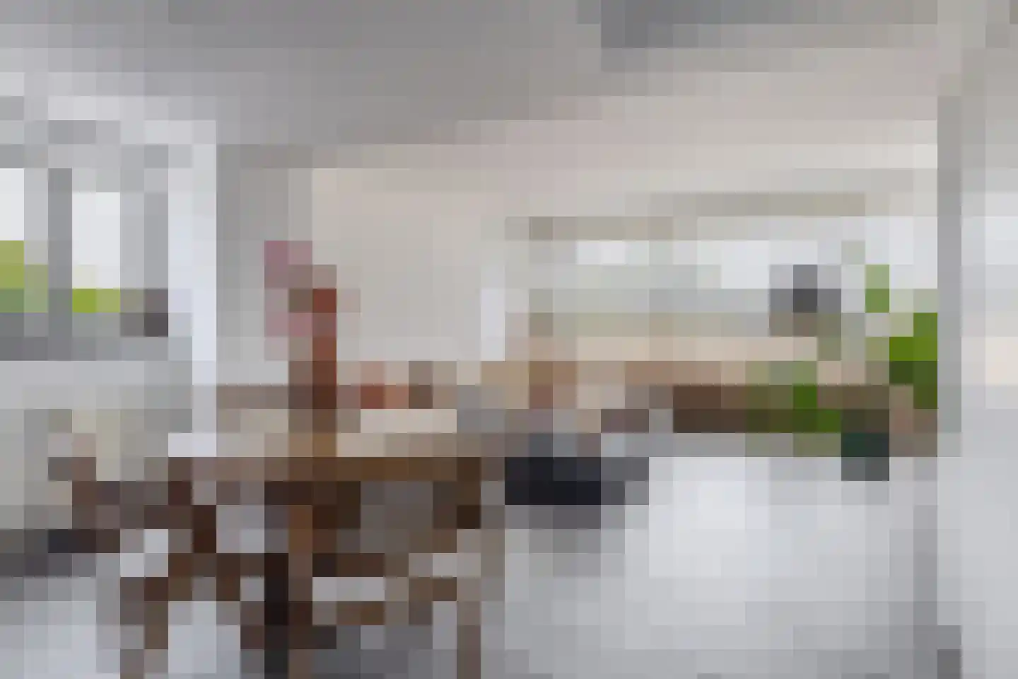 Bierens de Haanweg 103 Rotterdam thumbnail 12