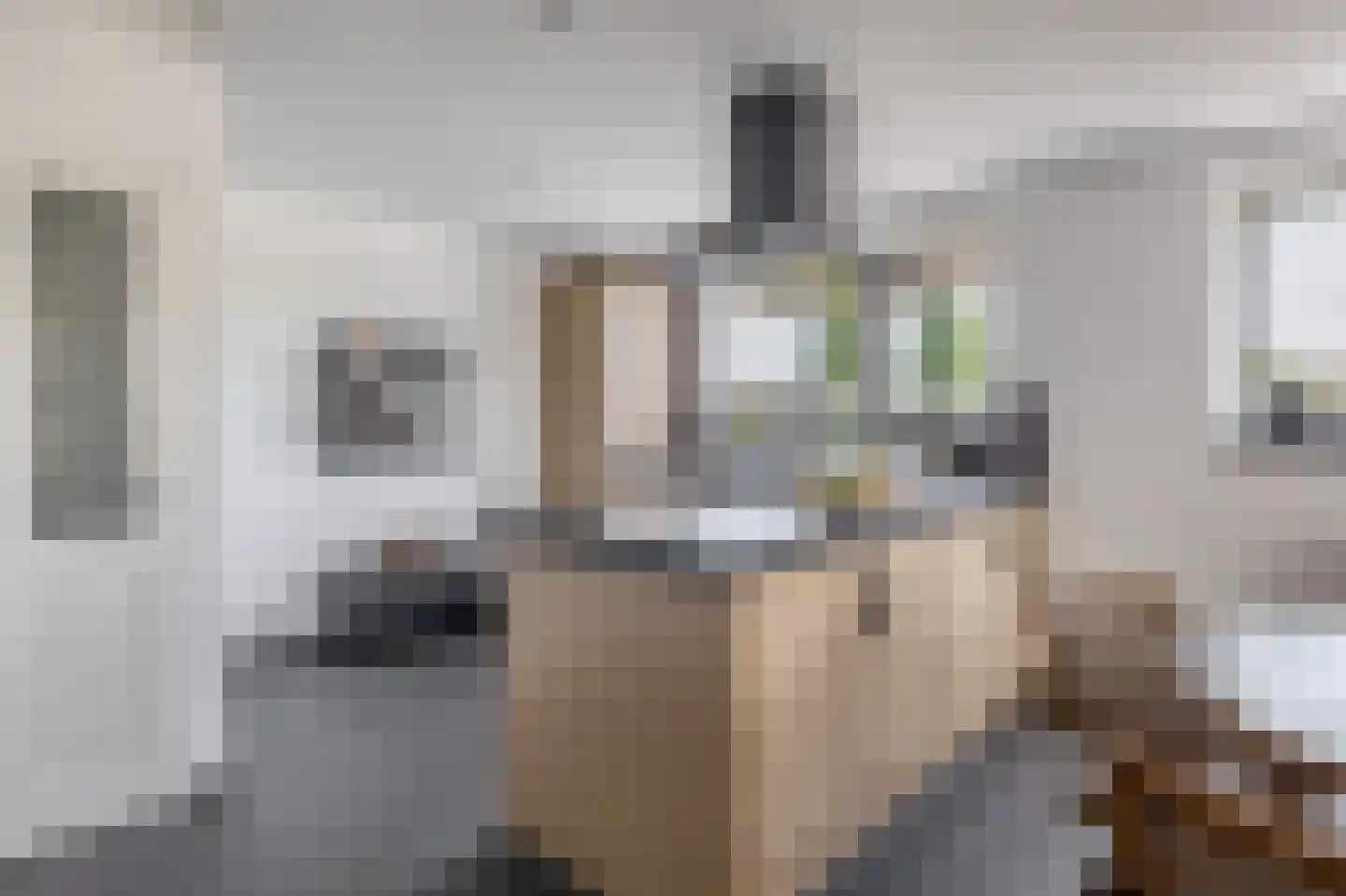 Bierens de Haanweg 103 Rotterdam thumbnail 14