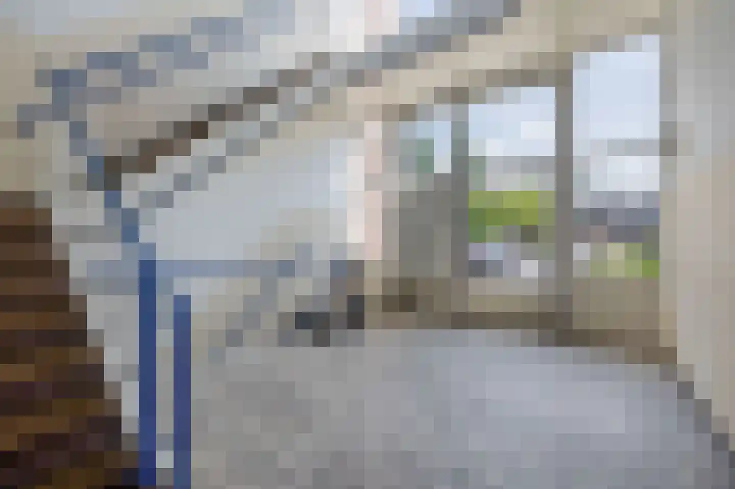 Bierens de Haanweg 103 Rotterdam thumbnail 30
