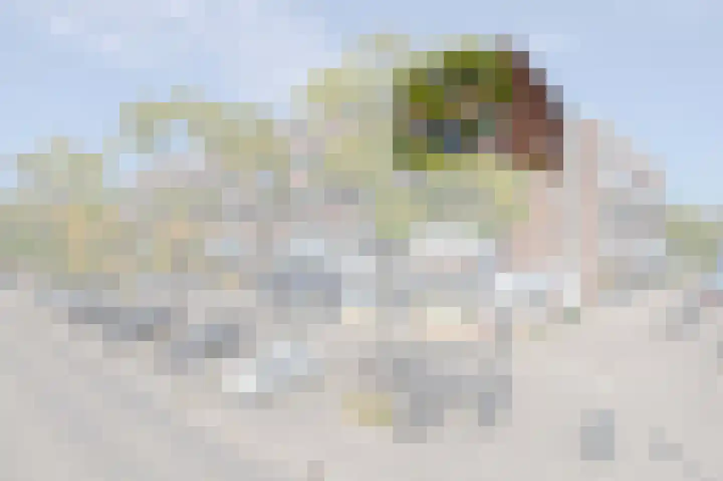 Bierens de Haanweg 103 Rotterdam thumbnail 36