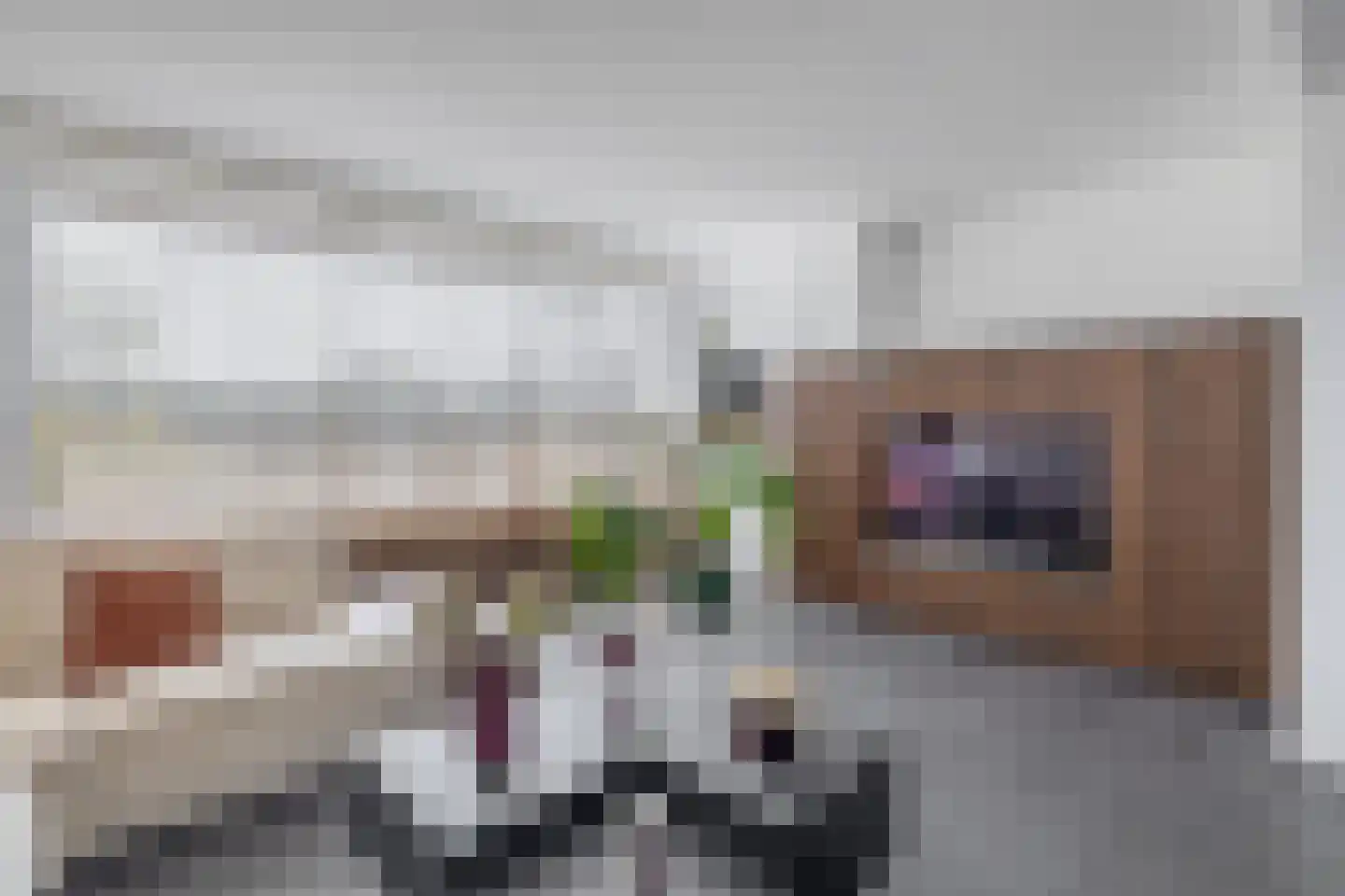 Bierens de Haanweg 103 Rotterdam thumbnail 5